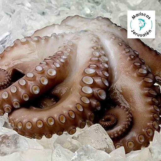 Pulpo importado