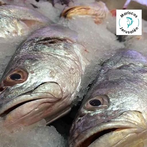 Corvina entera